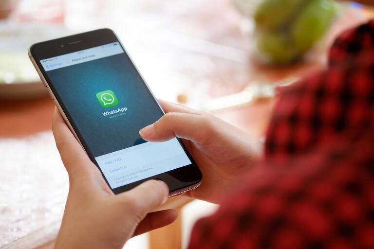 ¿Cómo hacer una encuesta en WhatsApp? - La Nación