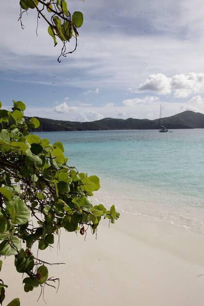 White Bay en Guana Island.