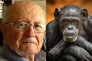 White utilizó sus creencias católicas a su favor para argumentar la práctica con los animales (Wikkimedia Commons, iStock)