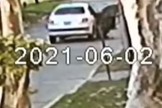 Intentaron secuestrar a una mujer, se escapó y luego la atropellaron