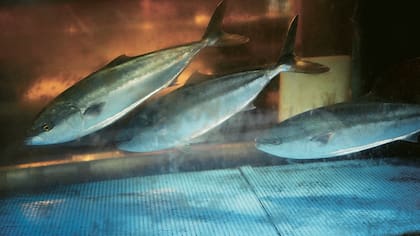 William Eggleston, uno de los artistas de Les Visitans en el CCK