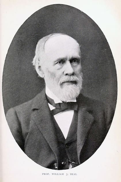 William James Beal, el botánico que enterró las semillas en 1879