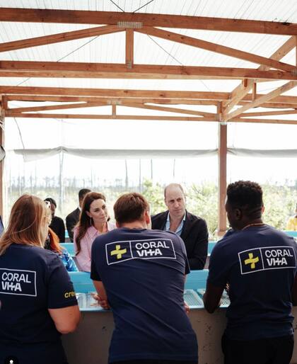 William y Cate premiarán a los mejores proyectos