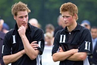 William y Harry heredaron de su padre la pasión por el polo. En la foto, después de un partido en 2003. Los números en sus camisetas muestran claramente el lugar que ocupa cada uno en la familia real.