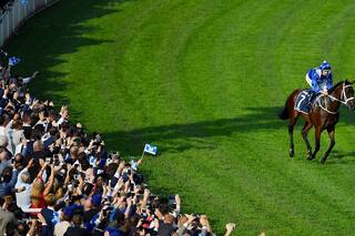 Un cuento de hadas: Winx, la yegua récord que fue tapa de una revista de moda