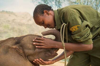 Mary Lengees, una de las primeras mujeres cuidadoras de elefantes, en el santuario de Reteti, en Kenia, donde rescatan, rehabilitan y reintroducen animales huérfanos y abandonados en su hábitat