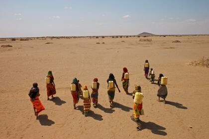 Mujeres llevan bidones llenos de agua a través de las llanuras del desierto en Kenia (Lynn Johnson, 2009) 