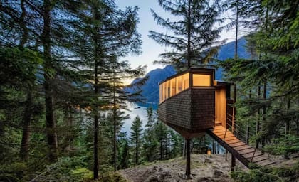 Woodnest de Helen & Har