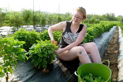 Wooff postula el trabajo en huertas orgánicas a cambio de alojamiento.