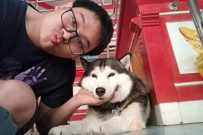 Worawut Lomwanawong asegura que igualmente su mascota Lucky seguirá fecuentando su tienda, porque su misión es traer felicidad y no defender joyerías