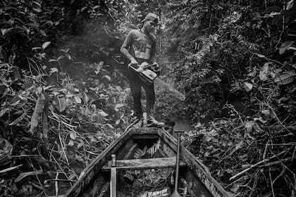 "Distopía Amazónica", del brasileño Lalo de Almeida, ha recibido el galardón al Proyecto a Largo Plazo por una panorámica que abarca 12 años de desgaste de la selva debido a la deforestación, la minería y la explotación de los recursos naturales
