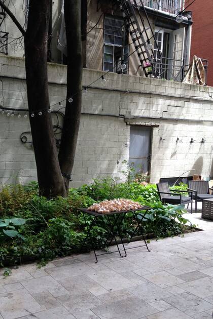 Nuena York, Estados Unidos