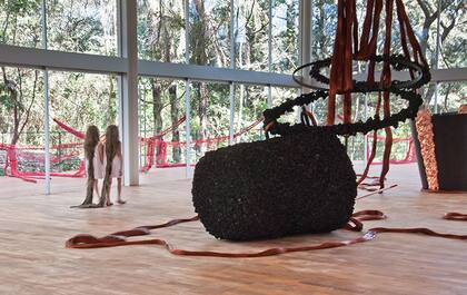 Xifópagas Capilares Entre Nós en Instituto Inhotim, Brumadinho, Brasil, 2012