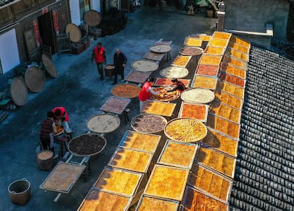 Xitou, China.
Gentileza BTV