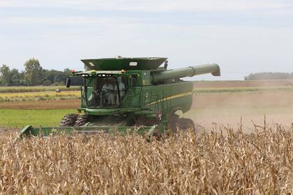 Para FADA, el tipo de estructura tributaria argentina, ante una problemática como la sequía, en lugar de reducir el peso de los impuestos, lo aumenta