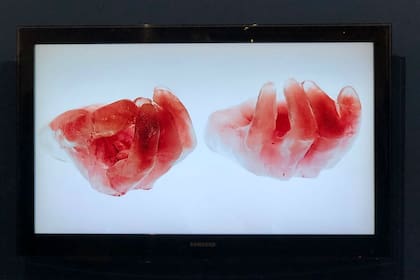 Martín Weber, Sangre, 2018