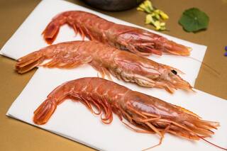 Alarma en Chubut: peligran 500 mil kilos de langostino por un conflicto pesquero