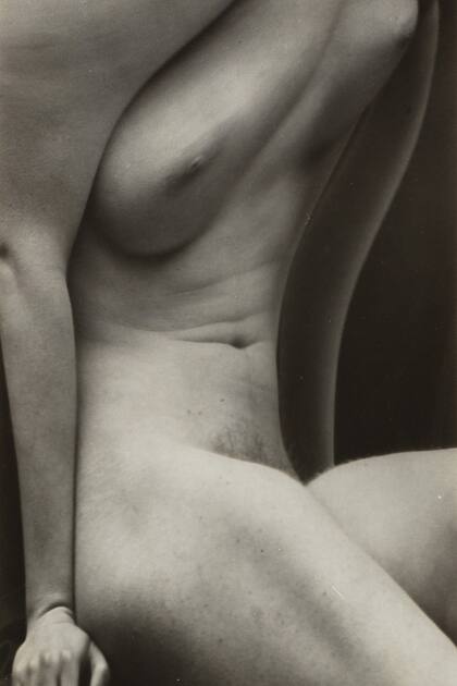 Distorsión #166 por André Kertész (detalle), 1932-1933. Valor estimado: 15.000-20.000 euros