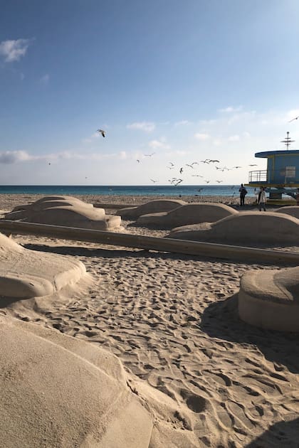 Orden de importancia en la playa de Miami