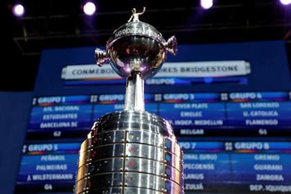 El trofeo original de la Copa Libertadores de América fue encomendado a un taller de orfebrería peruano, a fines de 1959. Los clubes argentinos son los que más veces conquistaron el trofeo, con 25 títulos. Independiente es el que más veces la ganó, con 7. Los Rojos nunca perdieron una final.