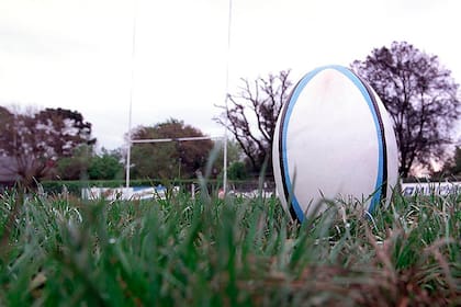 El rugby argentino debe realizar una profunda visión hacia adentro