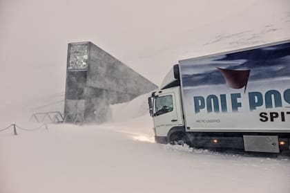 Los camiones hacen esfuerzos para llegar hasta el banco de semillas.