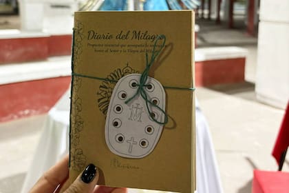 "Y es así como tuve la idea del Diario del Milagro, viendo pequeños grupos de fieles caminar con alegría. Observando tanta vitalidad de la linda y escuchando sus cantos mientras iba y venía a las sesiones de mí rehabilitación".