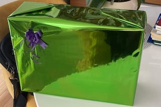 El año que entendió la metáfora