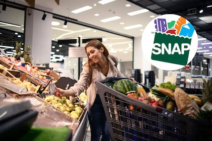 Ya está disponible el calendario de pagos de SNAP para enero de 2026 (Freepik/SNAP)