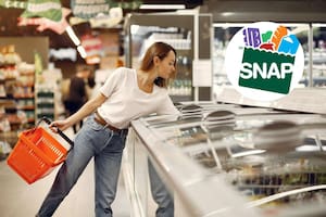 Pagos de SNAP en febrero 2026: fechas de depósito en Illinois y quiénes están obligados a trabajar 80 horas