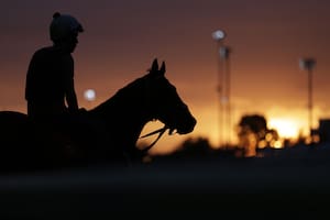 Ya estamos nerviosos. Este fin de semana es el derby de Kentucky. (?)