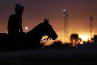 El drama de los cuidadores de caballos en Estados Unidos y una industria poderosa que está en peligro