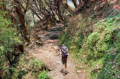 Ya habían recorrido Tailandia, Malasia y Singapur, cuando comenzaron a sentir que estaban andando en círculos.