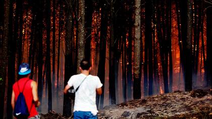 Ya hay más de 140 focos de incendio en Chile