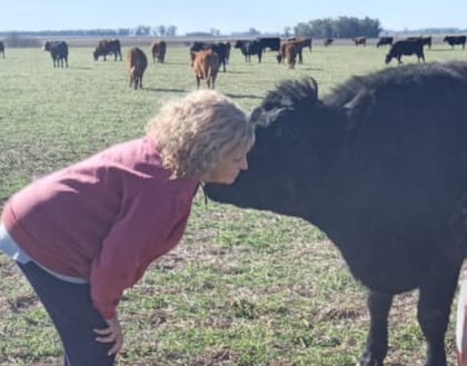 "Ya no quiero seguir renegando. Rosa crio ese ternero que ahora tenía 600 kilos, que era como una mascota para ella y se lo llevaron en un rato. Trabajábamos muy felices, pero esto nos generó una decepción enorme. Queremos vivir y estar tranquilos y eso ahora ya no es posible, es cada vez peor”, dijo Aguilar