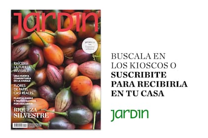 Ya salió la revista Jardín de marzo, con muchas notas para leer y toda la inspiración que necesitás para tener lindo tu jardín.