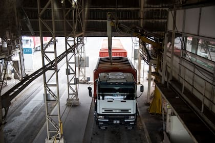 Ya se puede saber cuánto va a ganar un camionero en enero 2025 (Foto: REUTERS/Marcos Brindicci)