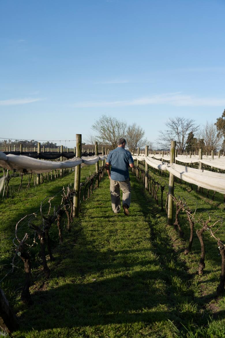 Dos amigos transforman el paisaje vitivinícola de Junín