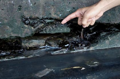 Una gran grieta en los cimientos del mercado de pescados en el que se hundió el suelo