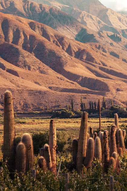 Yanay está a 2360 metros sobre el nivel del mar