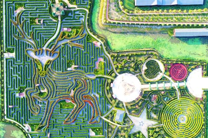 Yancheng Dafeng Dream Maze