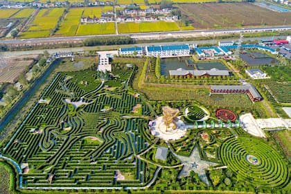 Yancheng Dafeng Dream Maze