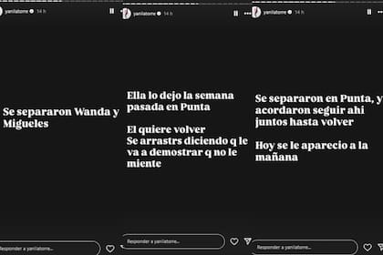 Yanina Latorre dio detalles de la separación de Wanda Nara y Martín Migueles (Foto: Instagram @yanilatorre)