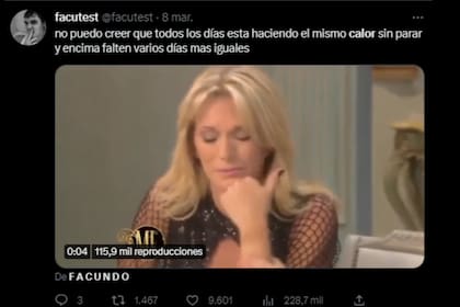 Yanina Latorre fue convertida en meme (Captura Twiter)