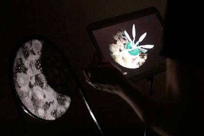 Efímera (2017), obra de Yasmín Reguero y Magalí Matilla Santoro, ganadora del Primer Premio de la categoría especial Arte con Realidad Aumentada