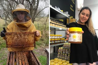 Su padre empezó con tres colmenas, hoy tienen 3000 y cuenta el secreto de trabajar con las abejas