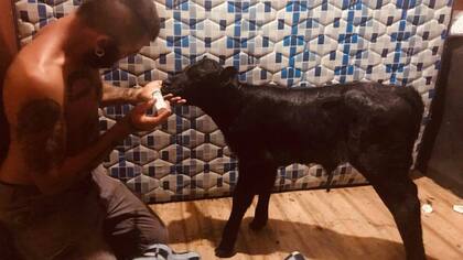 Yonatan del Refugio Los Salvajes, donde estuvo transitada la ternera las primeras horas