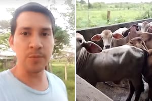 Yor Zambrano, el joven que se volvió furor por llamar a los terneros por un nombre