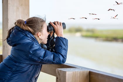 El avistamiento de aves es una actividad al aire libre que puede abarcar a toda la familia