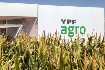 YPF Agro articula la venta de insumos con acuerdos con productores y participa en la comercialización de granos